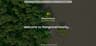 MangroveClassify